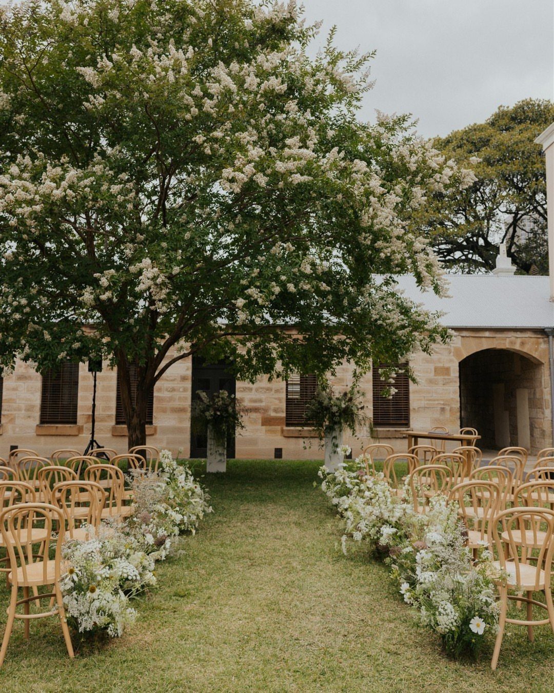 Outdoor wedding ceremony setup with wooden chairs and white flowers under a blossoming tree.