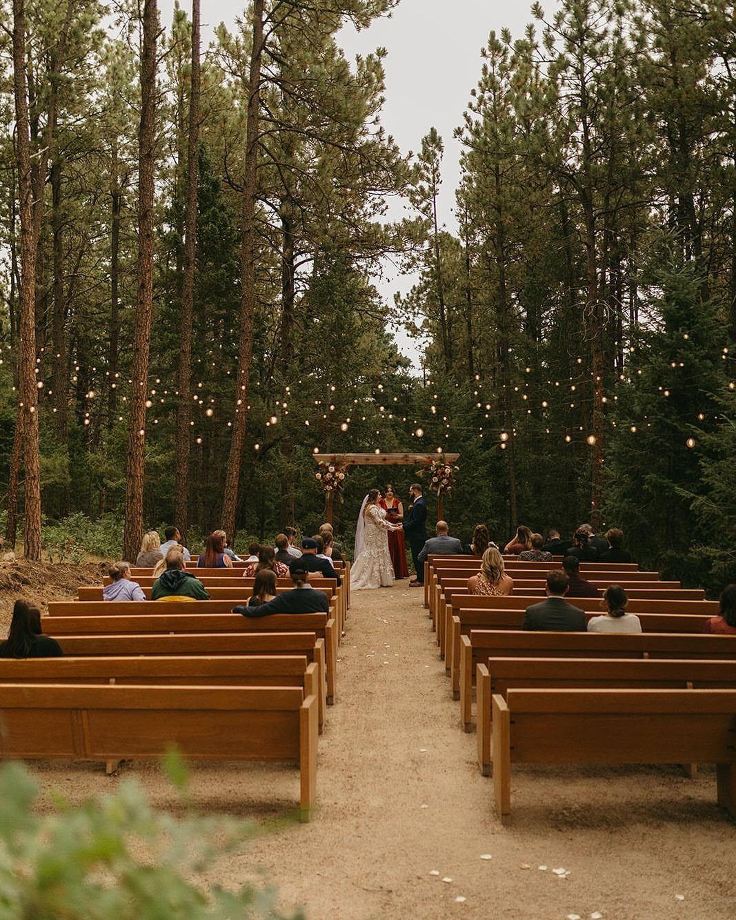 Wedding ceremony in a pine forest with guests in wooden pews and string lights.