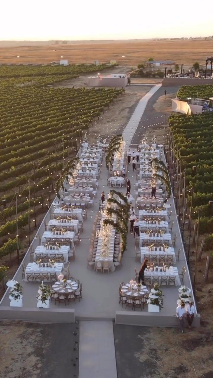 Outdoor wedding reception with white tables set between rows of a lush vineyard.