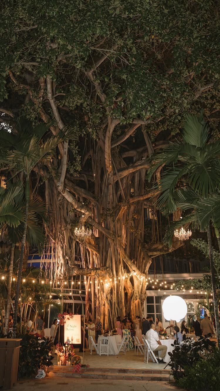Wedding reception under a large banyan tree with chandeliers and string lights.