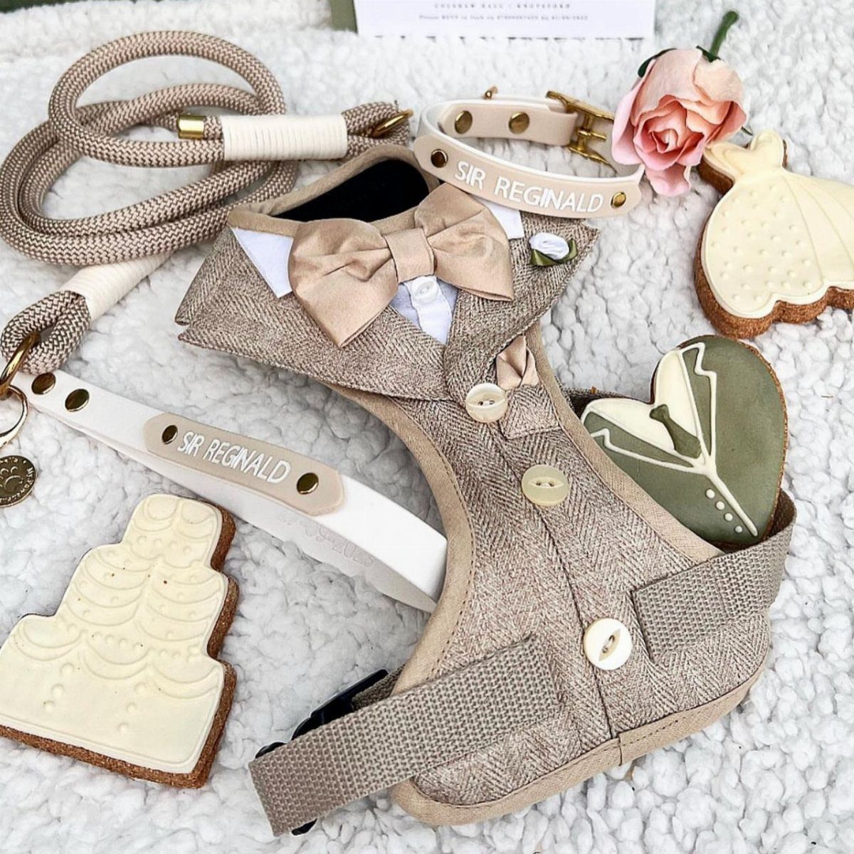 Tweed dog harness with bowtie, matching rope leash, and personalized leather collars.