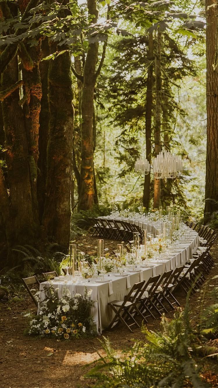 Long curved wedding table with white linens and flowers in a sunlit forest.
