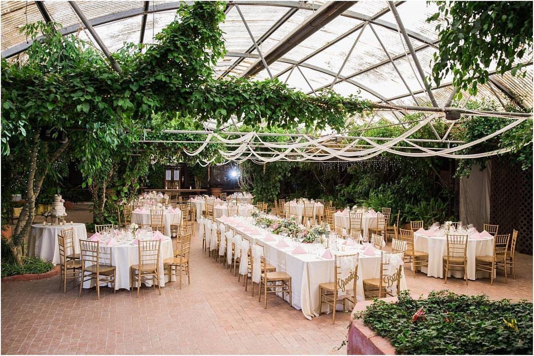 Wedding reception tables inside a glass greenhouse surrounded by lush green climbing plants.