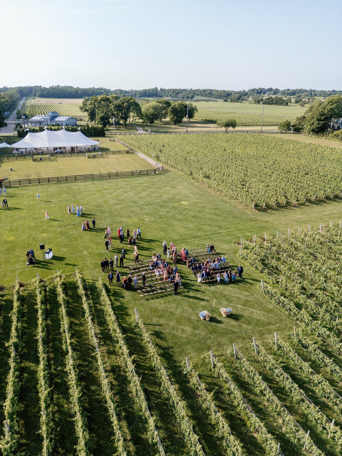 Outdoor wedding ceremony with guests seated on a lawn surrounded by vineyard rows.