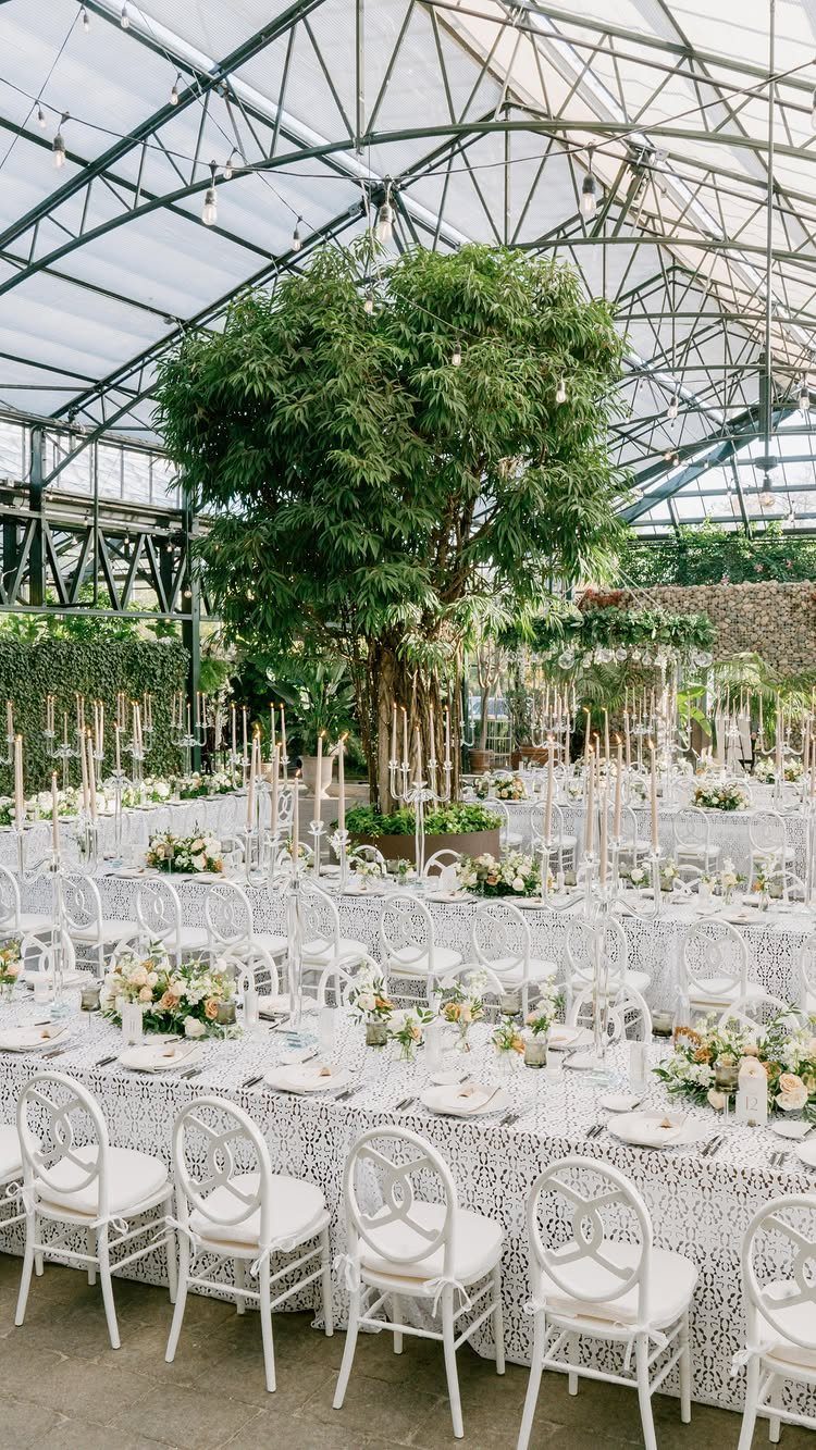 Wedding reception tables and white chairs inside a glass conservatory with a large tree.