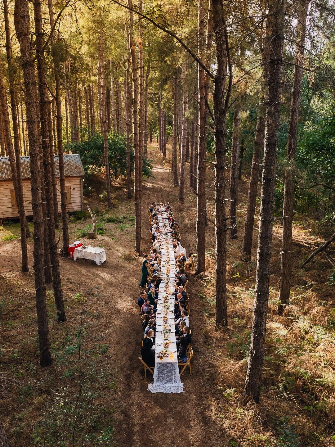 Long white banquet table with guests seated in a tall pine forest setting.