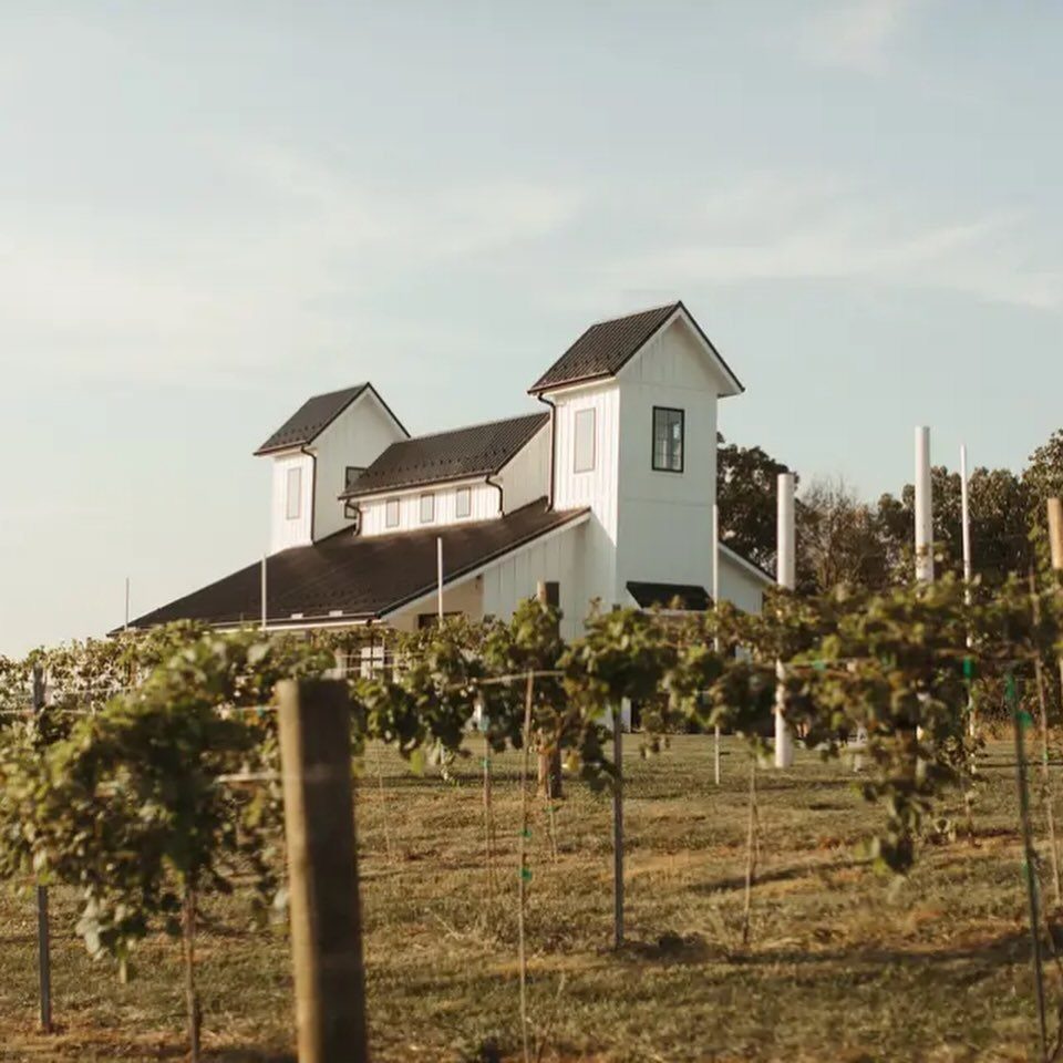 White farmhouse with black roof situated behind a lush vineyard under a clear sky.