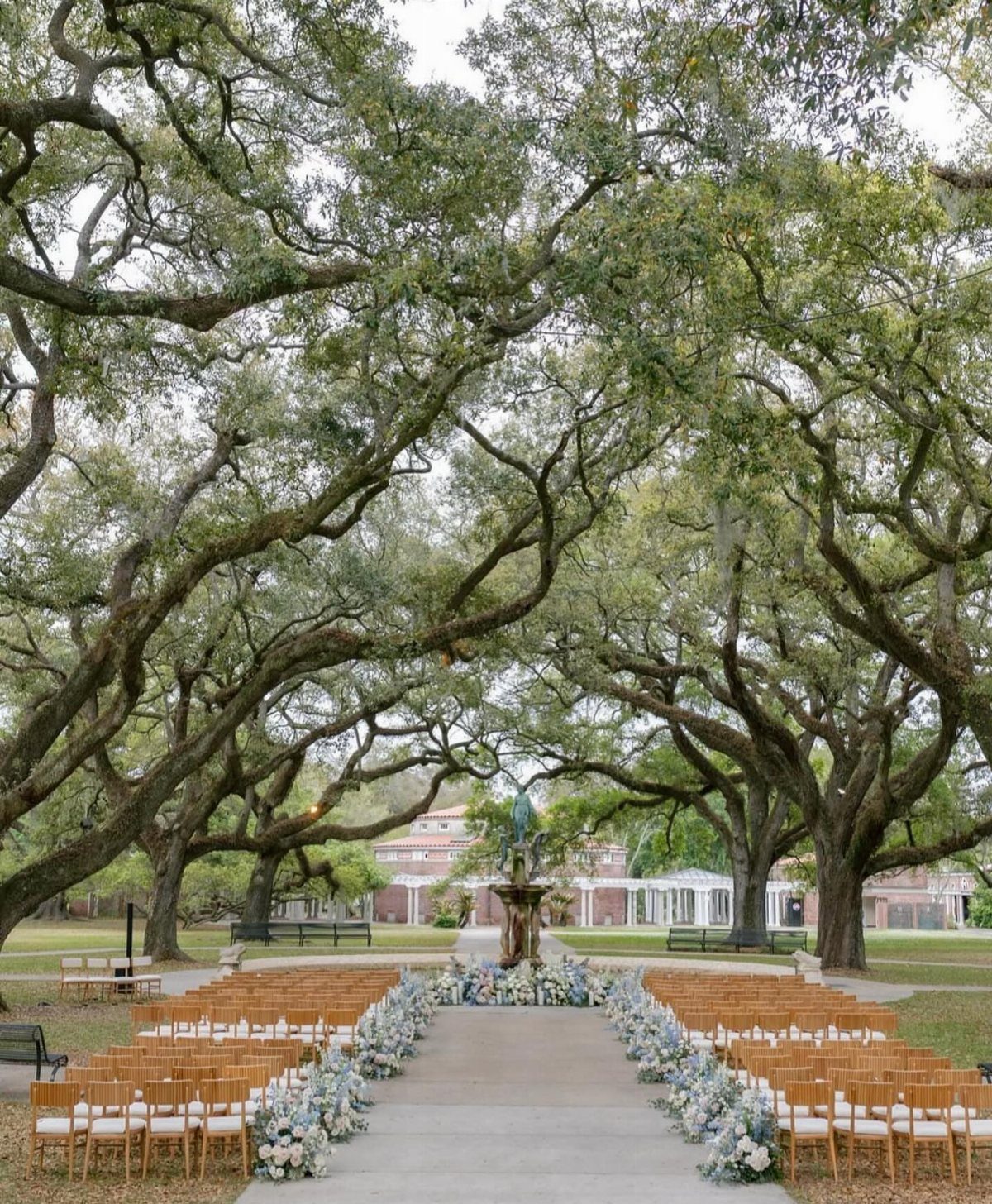 Outdoor wedding ceremony setup with wooden chairs under large sprawling oak trees.