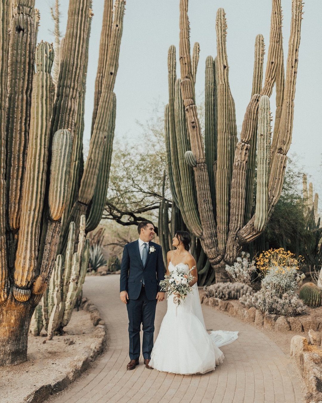 Bride and groom holding hands on a path surrounded by tall saguaro cacti.