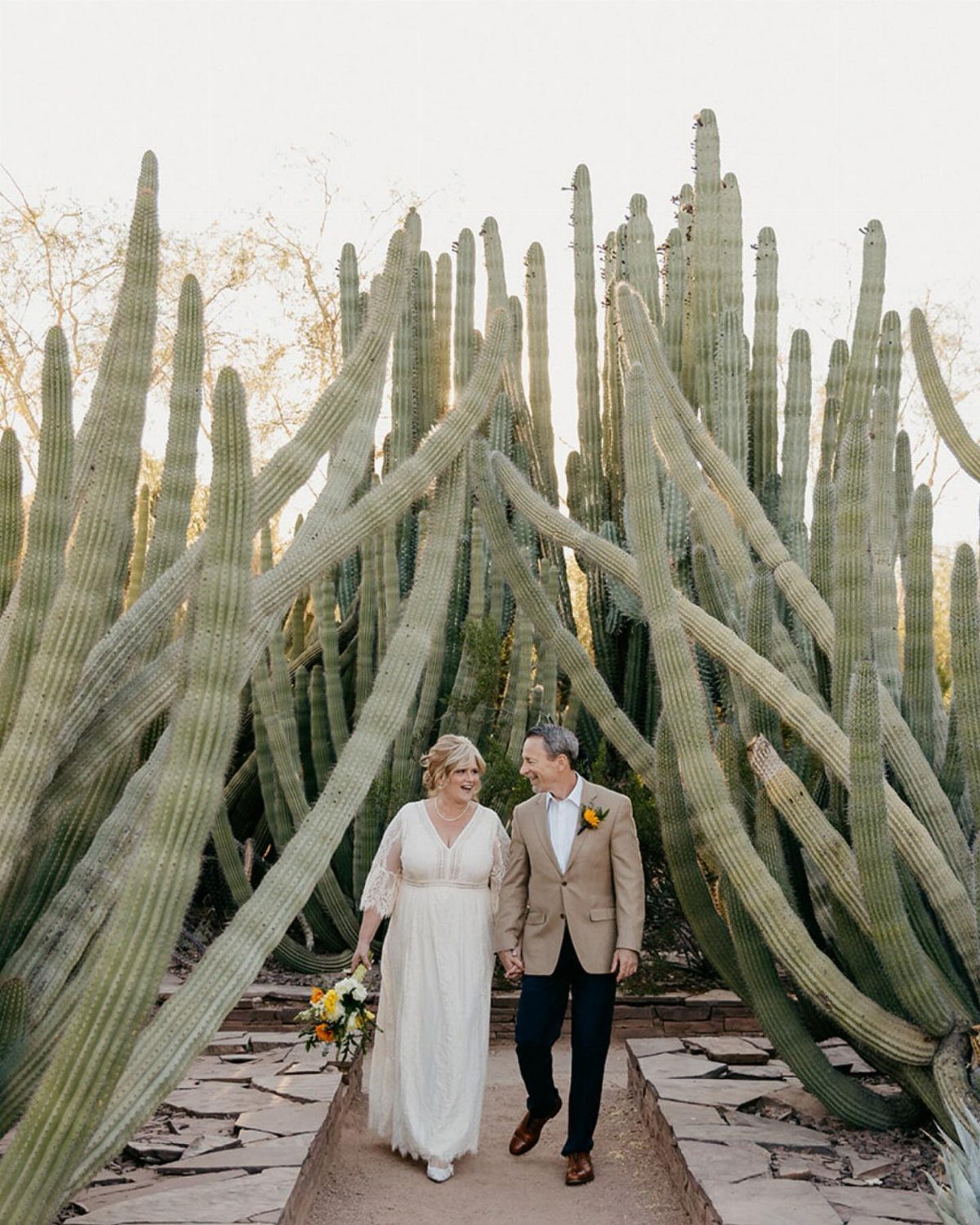 Bride and groom walking through a path of giant saguaro cacti in Arizona.