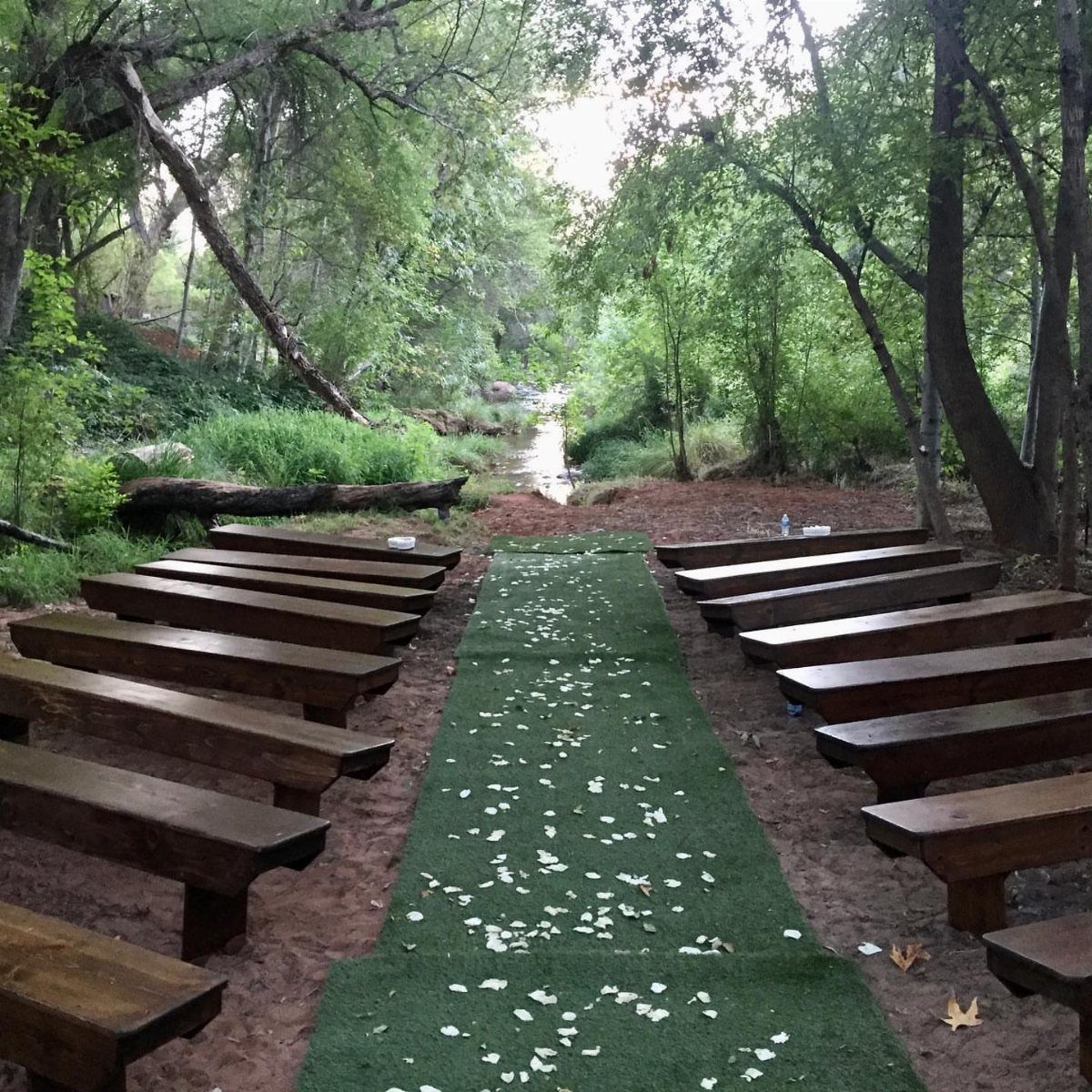 Outdoor wedding ceremony setup with wooden benches and a green petal-strewn aisle in woods.