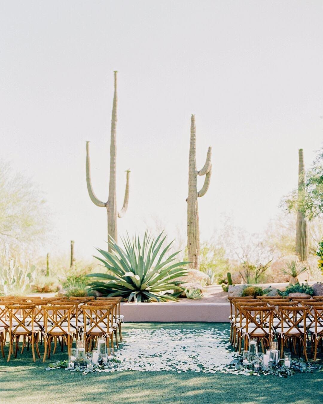 Outdoor wedding ceremony setup with wooden chairs and saguaro cacti in Arizona desert
