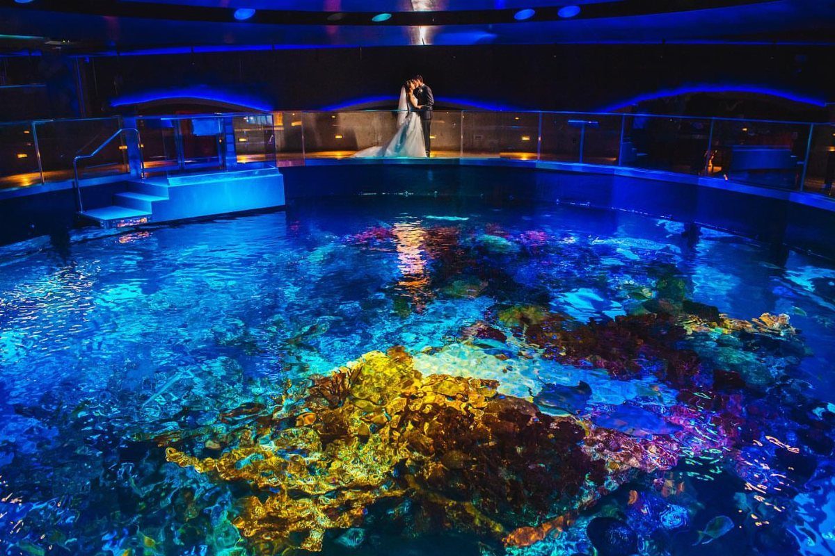 Bride and groom standing above a large circular aquarium tank with colorful coral reefs.
