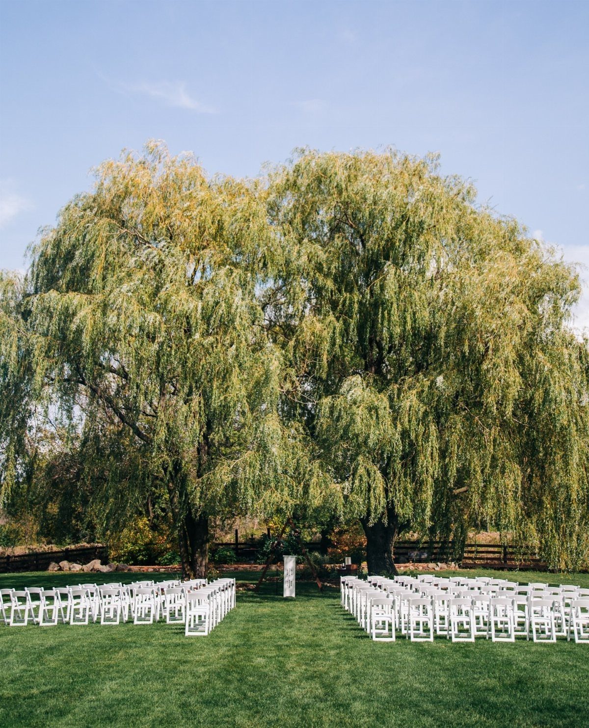 White wedding chairs arranged on a green lawn beneath a large weeping willow tree.